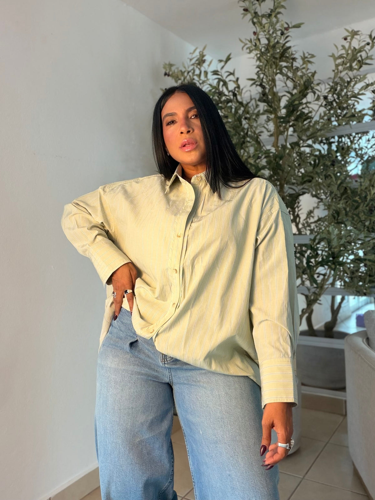 Olive Sage Green Striped (con lìneas) Oversized Shirt