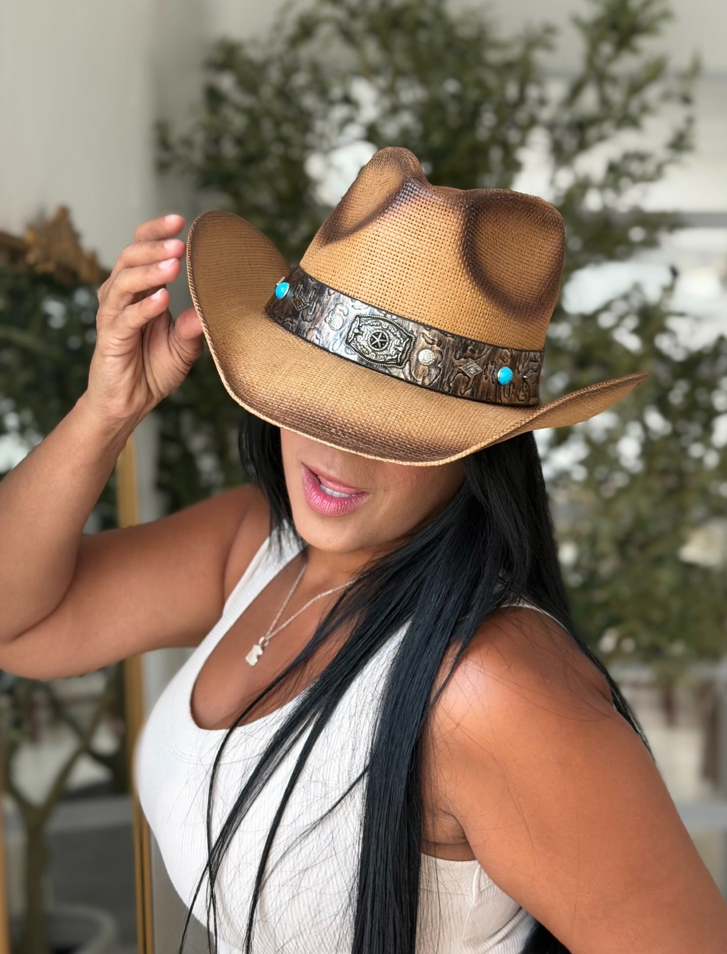 Sombrero Cow Boy con piedras silver y azules Brown y Beige