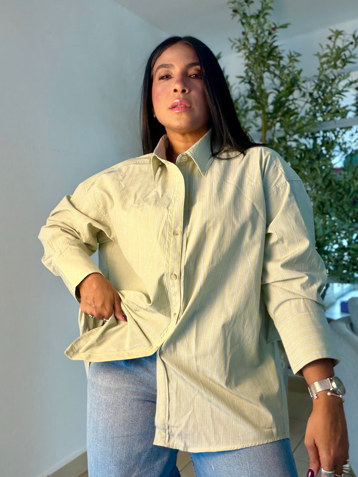 Olive Sage Green Striped (con lìneas) Oversized Shirt