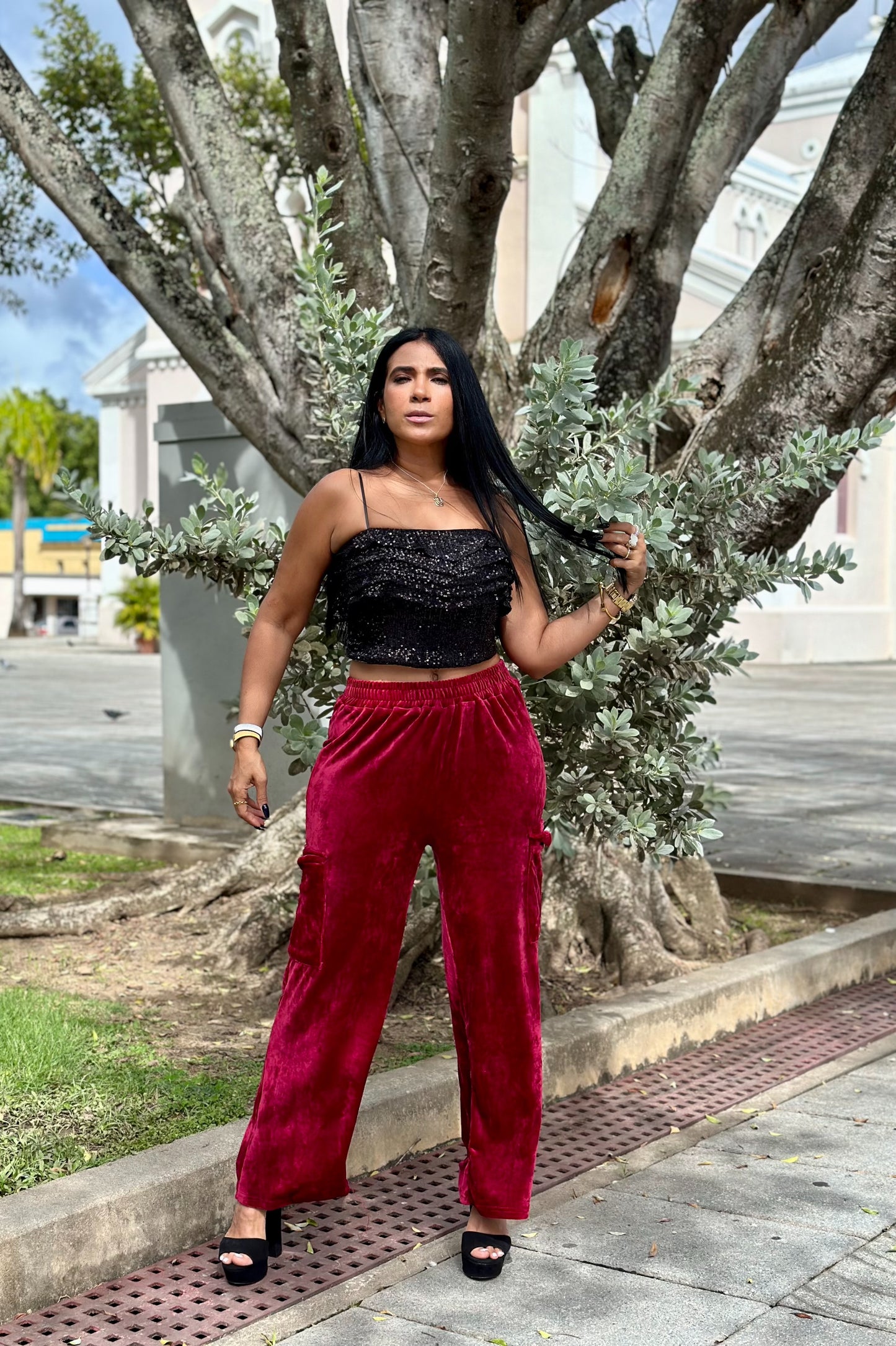 Iana Burgundy Velvet Spandex Cargo Pants